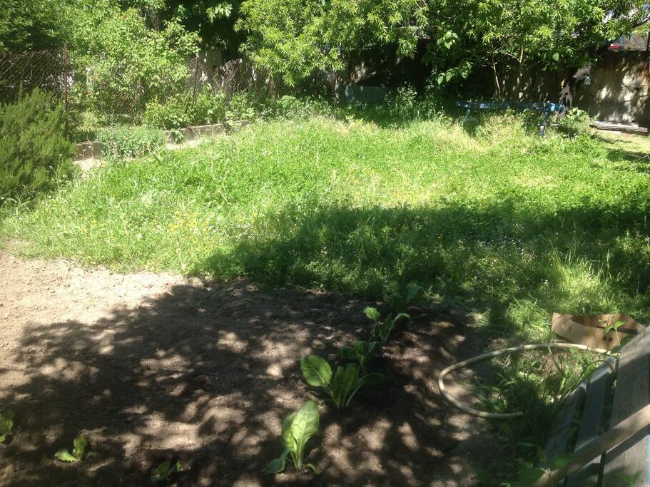 Jardin potager Silence ça pousse