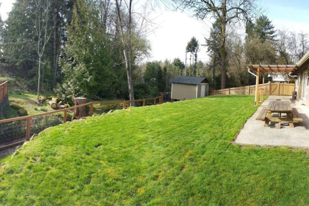 Backyard
