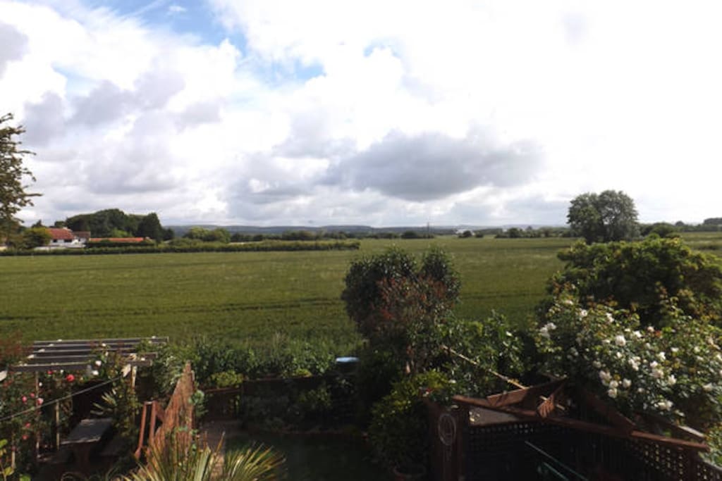 View from the back bedroom