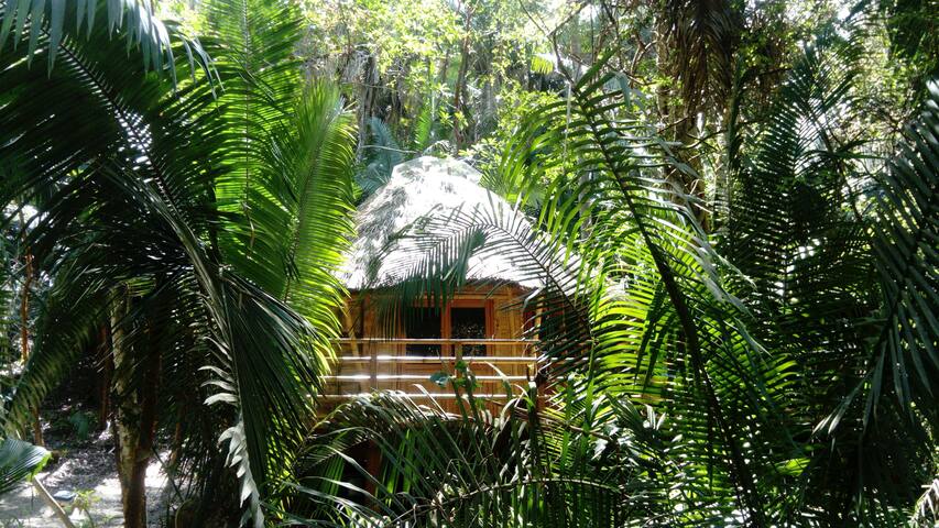 Aldea Bamboo Village II Ecolodge in Jungle/Beach