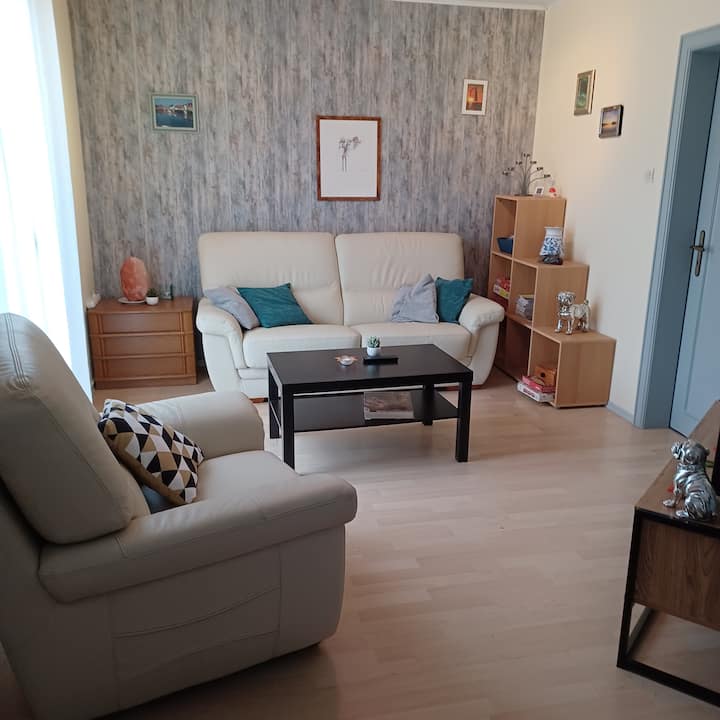 Petite Maison De Village - Haguenau