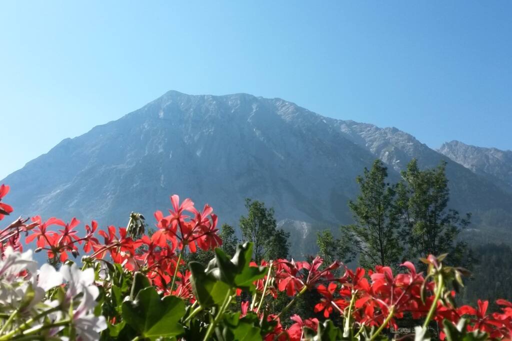 Zimmer 1/2: Blick zum Grimming