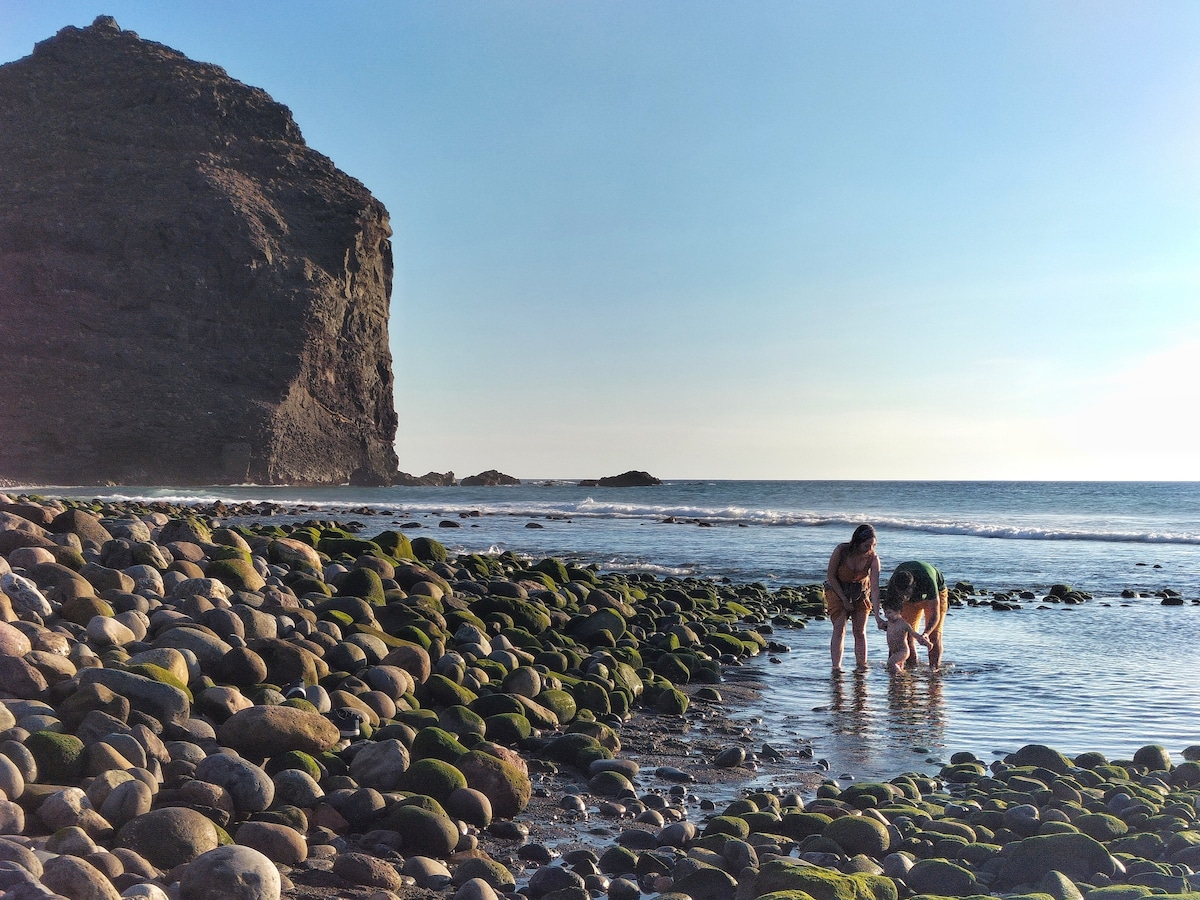 Two individuals are observed exploring a rocky shoreline, surrounded by smooth stones covered in green seaweed. A large volcanic cliff looms in the background, while gentle waves meet the shore. The sky is clear, with soft sunlight casting a warm glow over the scene.