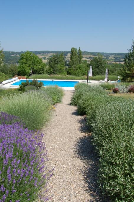 la piscine avec vue sur les coteaux