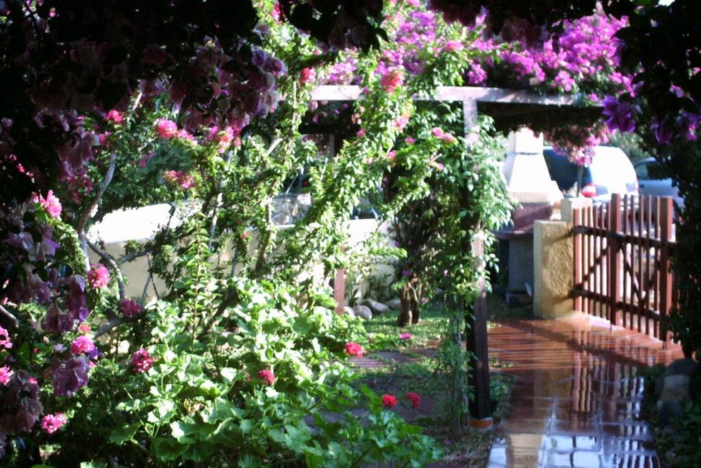 Vista giardino dalla veranda