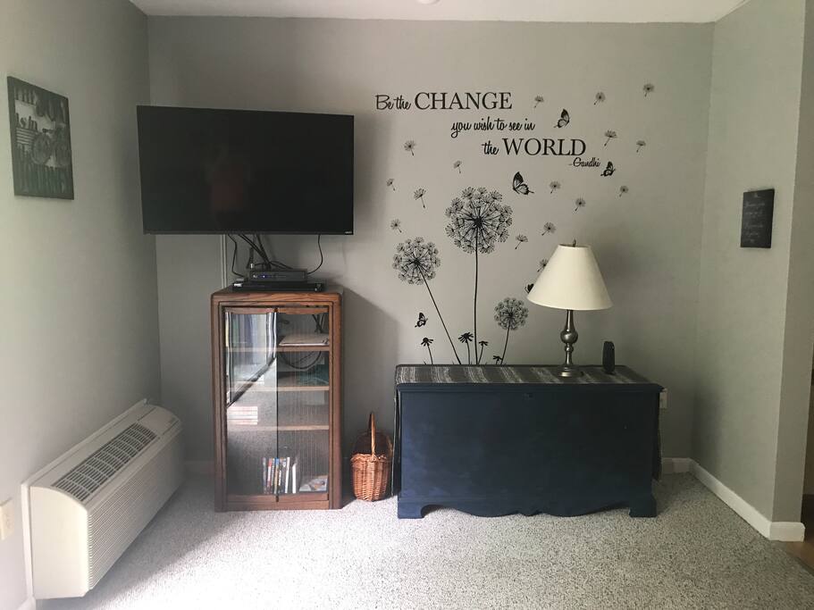 Living room with tv and blue ray player