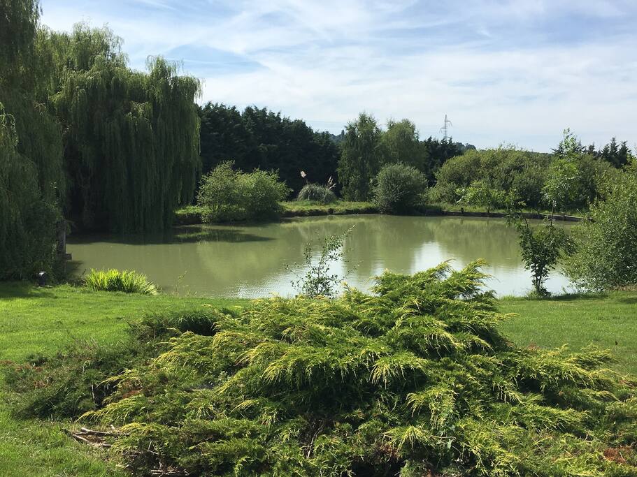 l etang