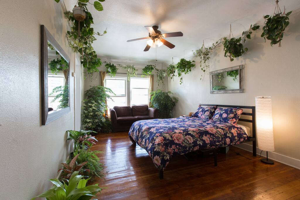 Plants all around :) A tree gets donated every time a guest stays here!