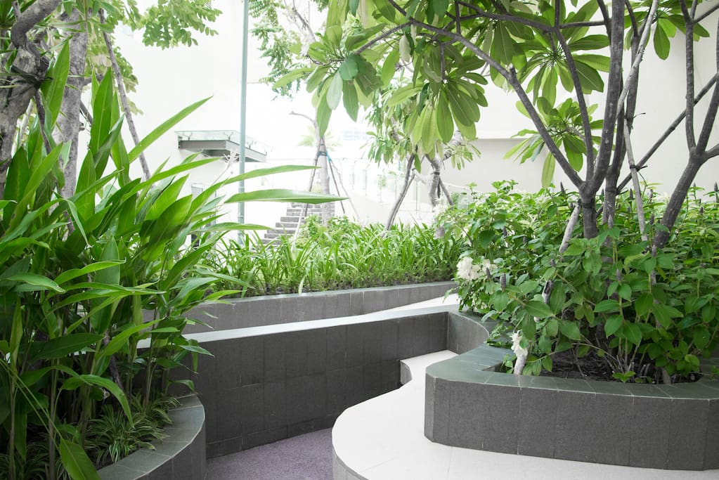 the garden in rooftop