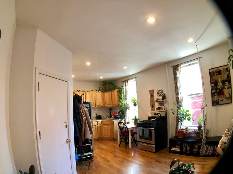 Our living room and kitchen area where you are free to hang out