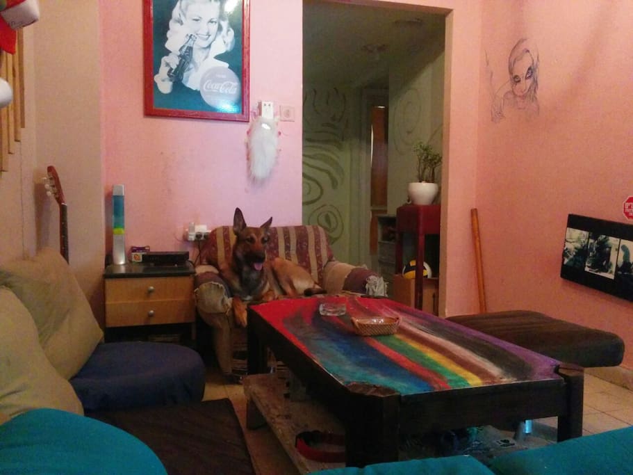 Another view of the living room, with our dog and colourful table!