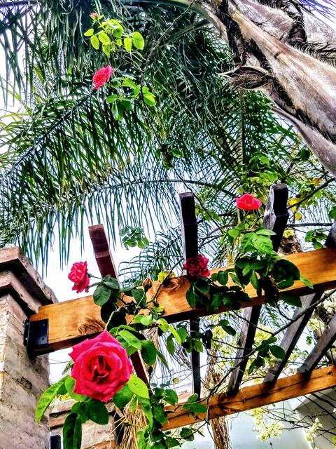 My Casita in Santiago