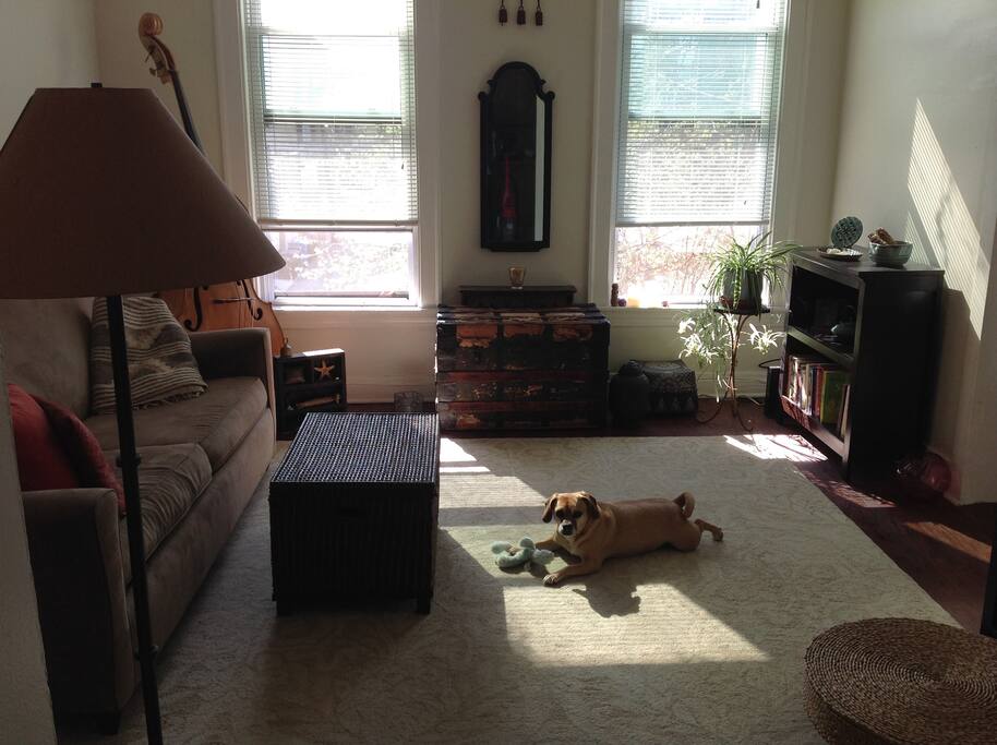 Western sunset is my favorite time of day in my apartment. Puggle pup lives here & loves the sun too!