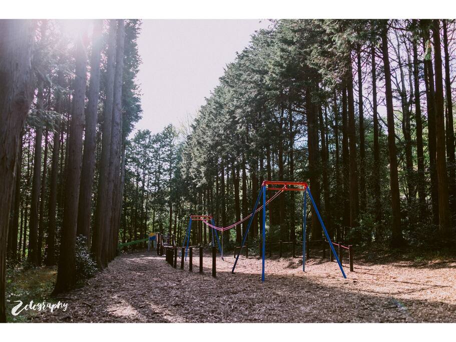 樱木 花道 海街日记里的樱花隧道 日本旅游攻略 尽在airbnb爱彼迎