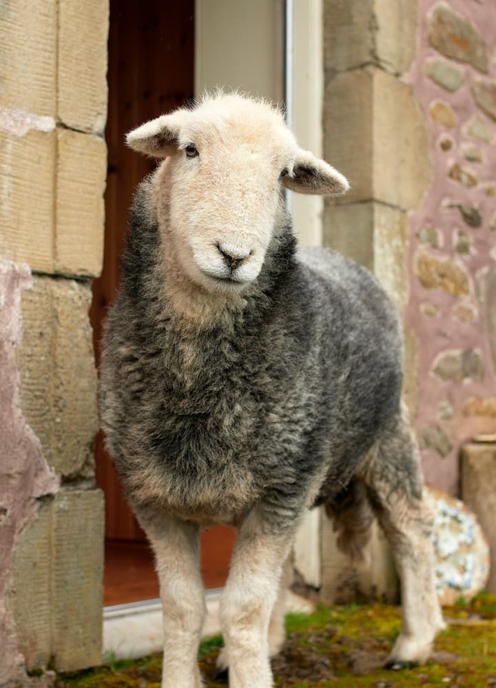 4번째 체험 사진