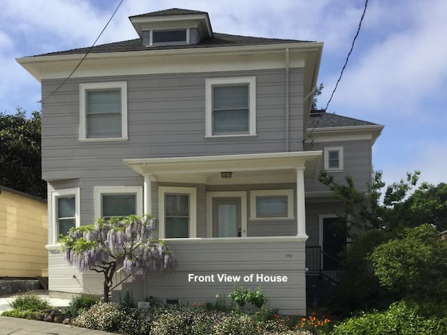 Bright, Airy Edwardian Home with Garden Sanctuary gallery image 3