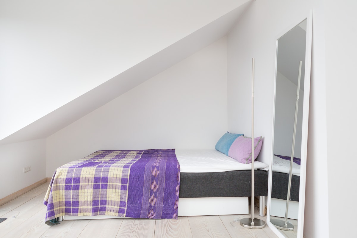 Otvoreni prostor s bračnim krevetom i dnevnim krevetom