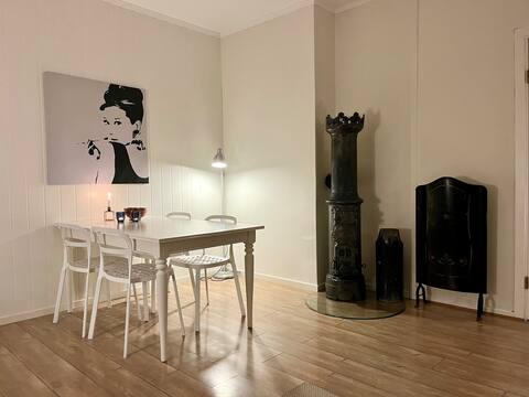 Top performing Airbnb: Central Drammen - 30 minutes by train to Oslo. in Drammen