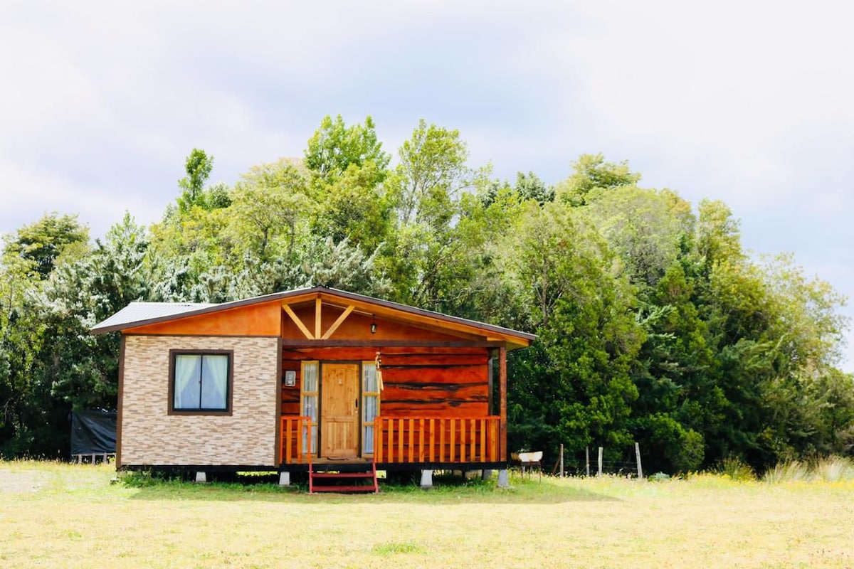 A wooden cabin is nestled among green trees, featuring a front porch with steps leading to a wooden door. A large window is visible on one side, allowing natural light to enter the interior. The surrounding landscape is open and lightly grassy.