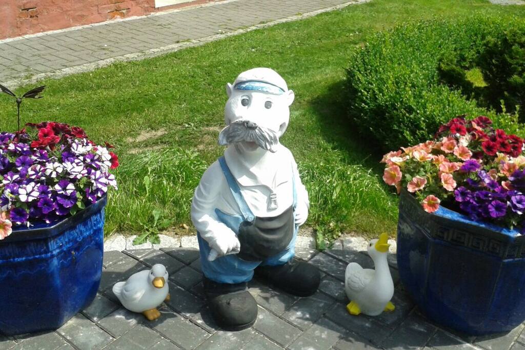 Moin moin und herzlich Willkommen in meinem Garten hinterm Haus.