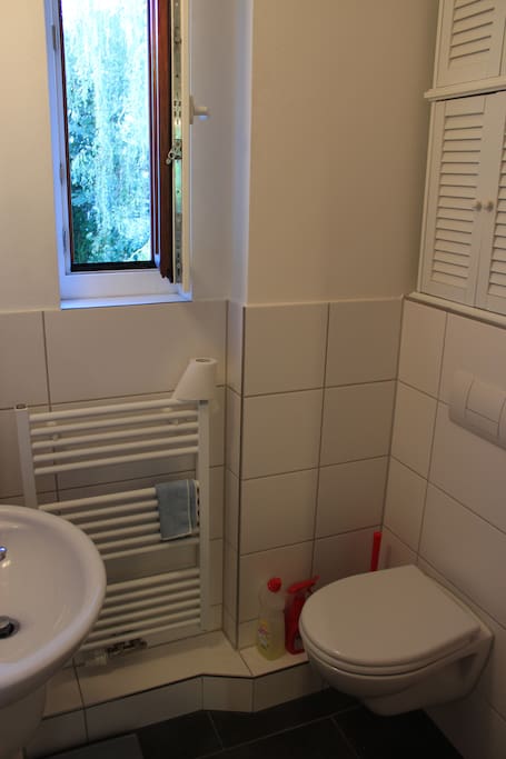 Small bathroom with shower