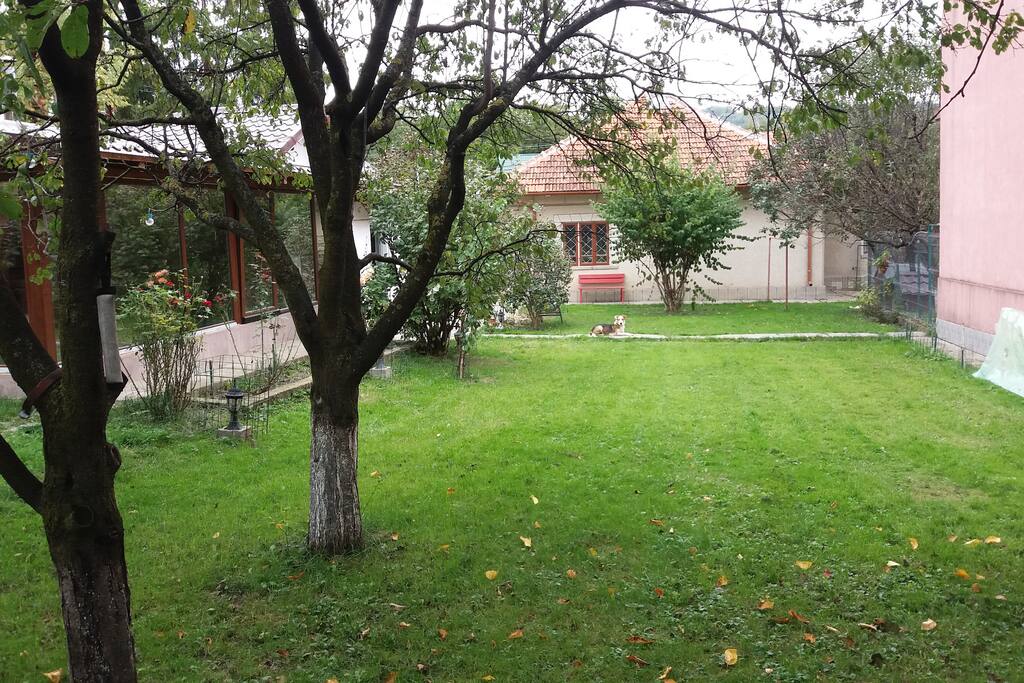 Autumn view of the house from the garden