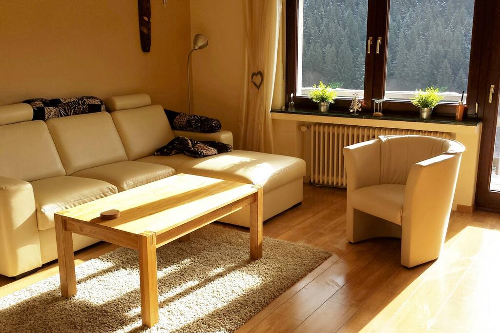 Woonkamer op het zuiden; Woonkamer met televisie, blu-ray speler en geluidsinstallatie