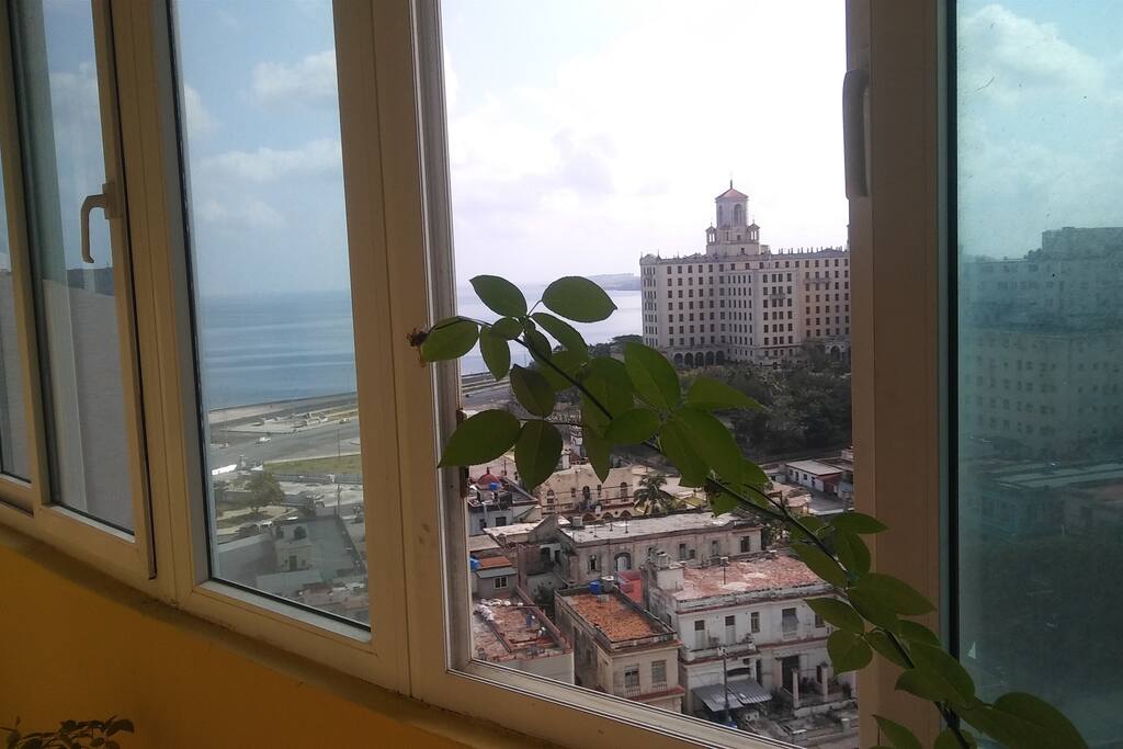 terraza