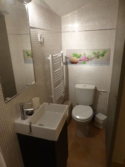 salle d'eau wc