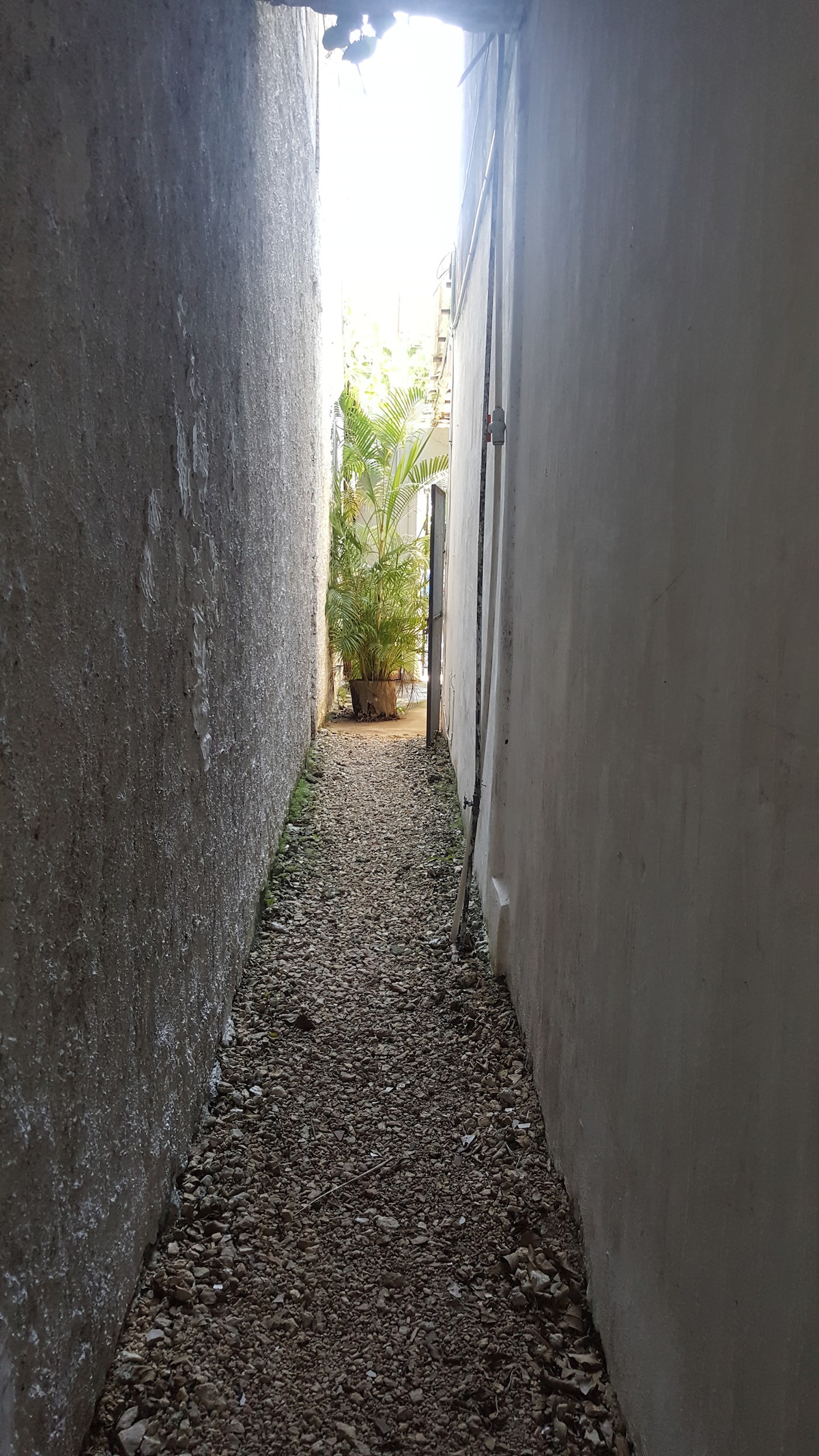 A narrow pathway is seen between two walls, featuring a gravel floor. Sunlight filters in from the end of the passage, illuminating a small green plant in a pot. The walls appear unadorned, creating a simple and functional view.