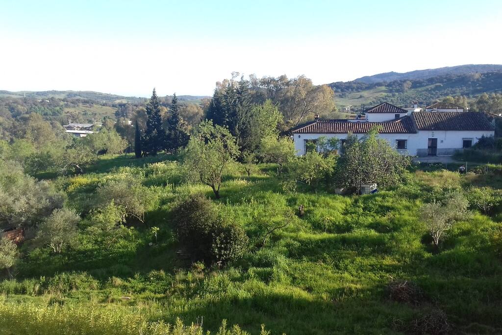 Vista desde el balcón y terracita