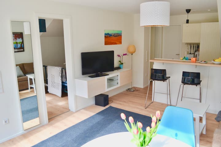 very cozy 2 bedroom apartment