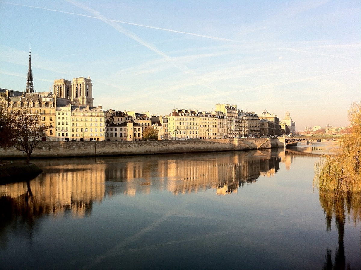 The serene scene captures the calm waters of the Seine River reflecting the historic architecture along the bank. Notable structures include the spire of Notre-Dame and elegant buildings, framed by soft golden light from the setting sun. Gentle ripples enhance the tranquil atmosphere.