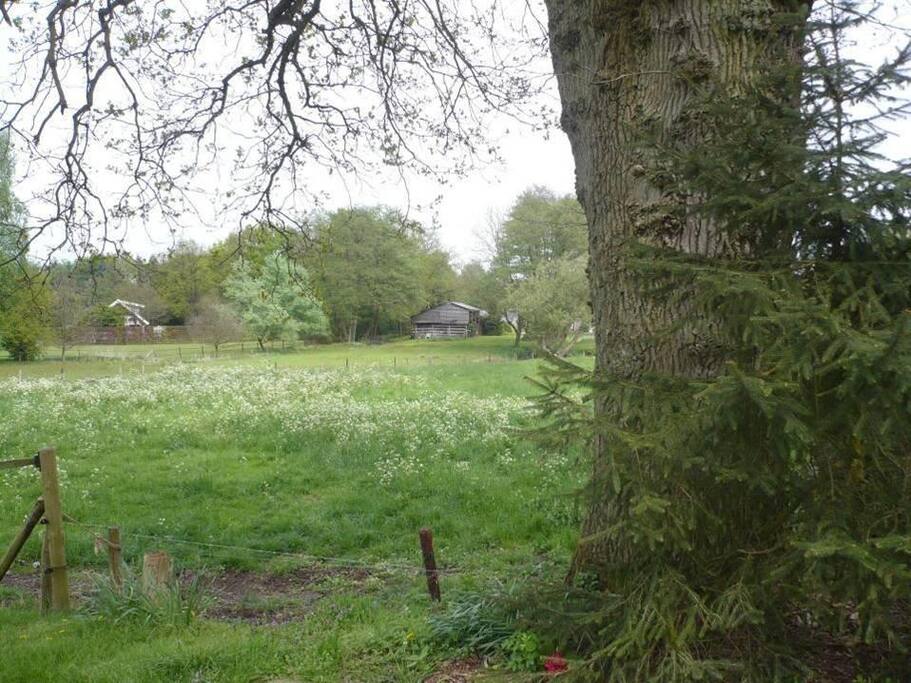 Uitzicht vanuit vakantiewoning