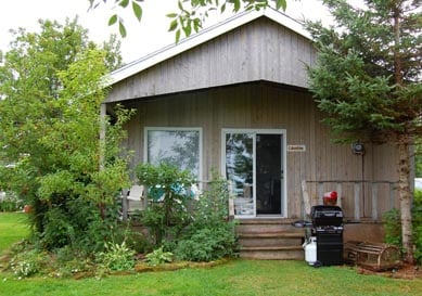 The cottage exterior is characterized by wooden siding and a gently sloped roof. A covered front porch with sliding glass doors is framed by lush greenery and seasonal plants. A barbecue grill is placed on the porch, enhancing the space for outdoor enjoyment.