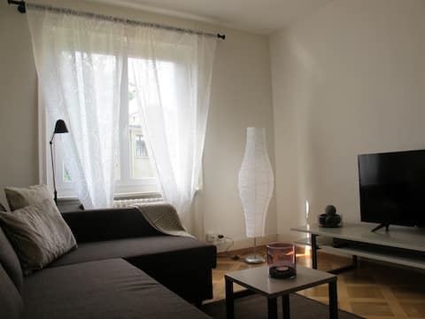 Popular Airbnb listing: 1 Bedroom Apartment with Balcony & Garden View in Alt Wiedikon