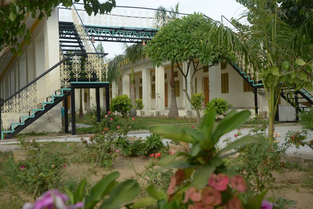 garden
