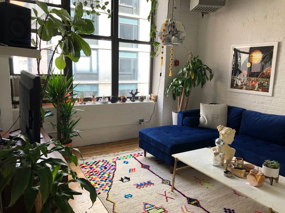 Living room -- full of plants and lots of natural light.