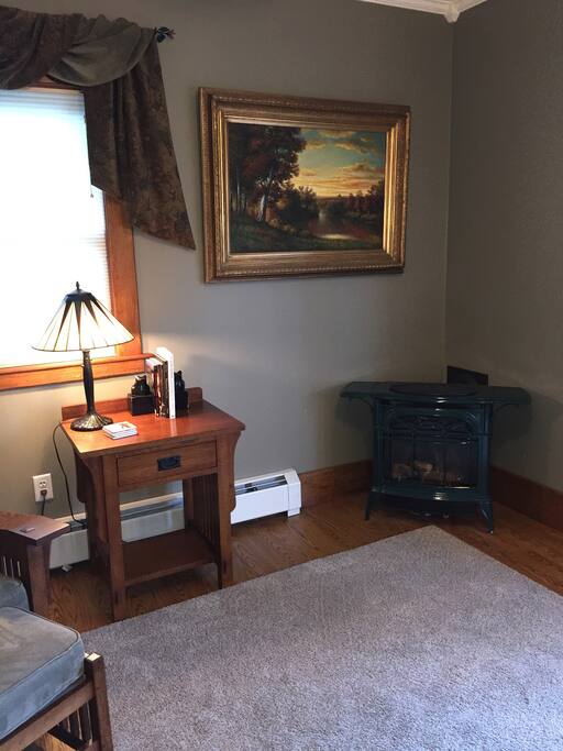 Cozy propane wood stove