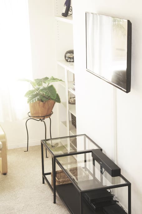 Entertainment Center