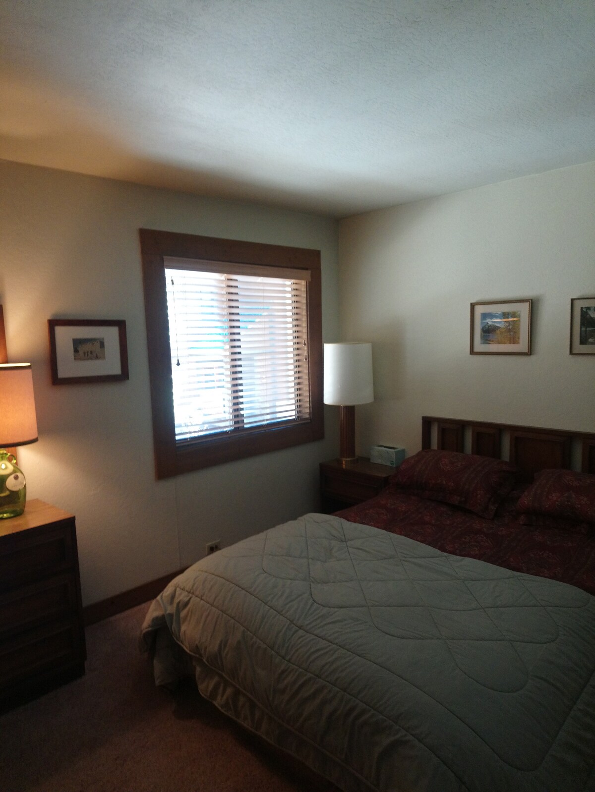 客房、标准双人床、带亚马逊Firestick的电视 