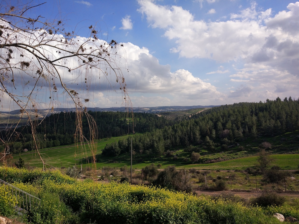 A scenic view captures rolling hills and lush greenery under a partly cloudy sky. Vibrant wildflowers dot the foreground, while trees and fields create a serene, natural landscape stretching into the distance.
