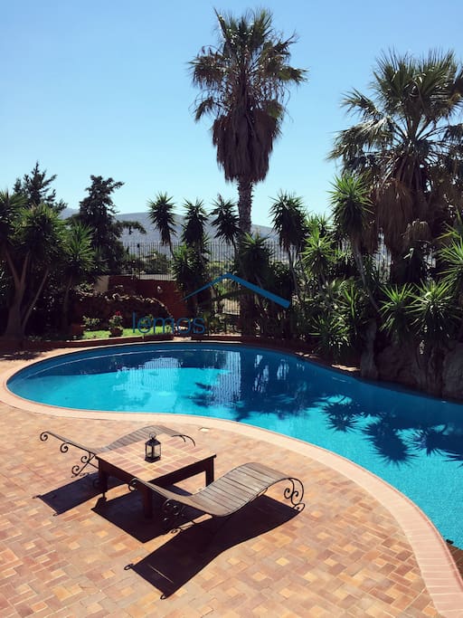 The swimming pool and sunbathing area