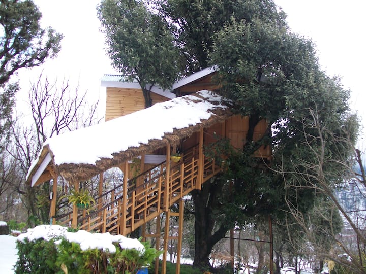 Treehouse in Manali ( OAK TREE )Tree House Cottage