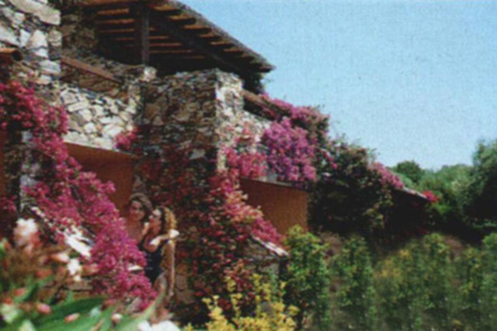 Esterno