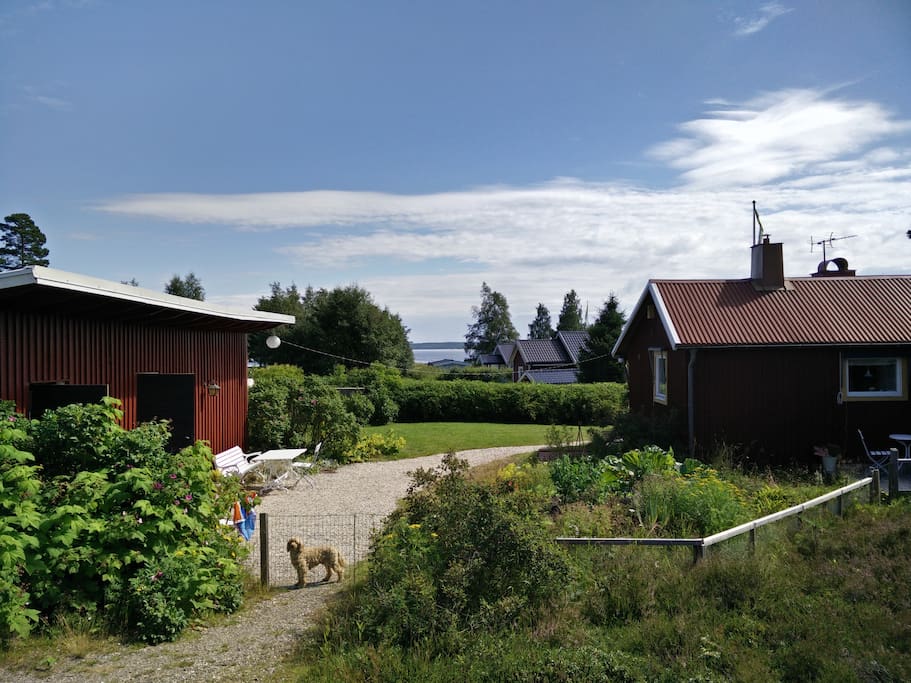 Utsikt mot Bergafjärden