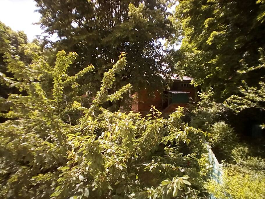 Le jardin jouxte le parc de l'internat du lycée