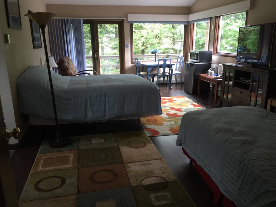 600 sq ft Master Suite showing the two beds (queen size & extra long twin), Cable TV, Netflix, kitchenette, large easy chair, private balcony, and the large windows overlooking the channel, city, and mountains. The room has a ensuite bathroom with a large wall-in closet.