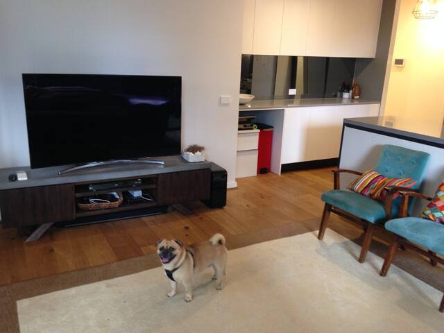 Apartment in Waitara – Near Rail 40mins to CBD gallery image 4