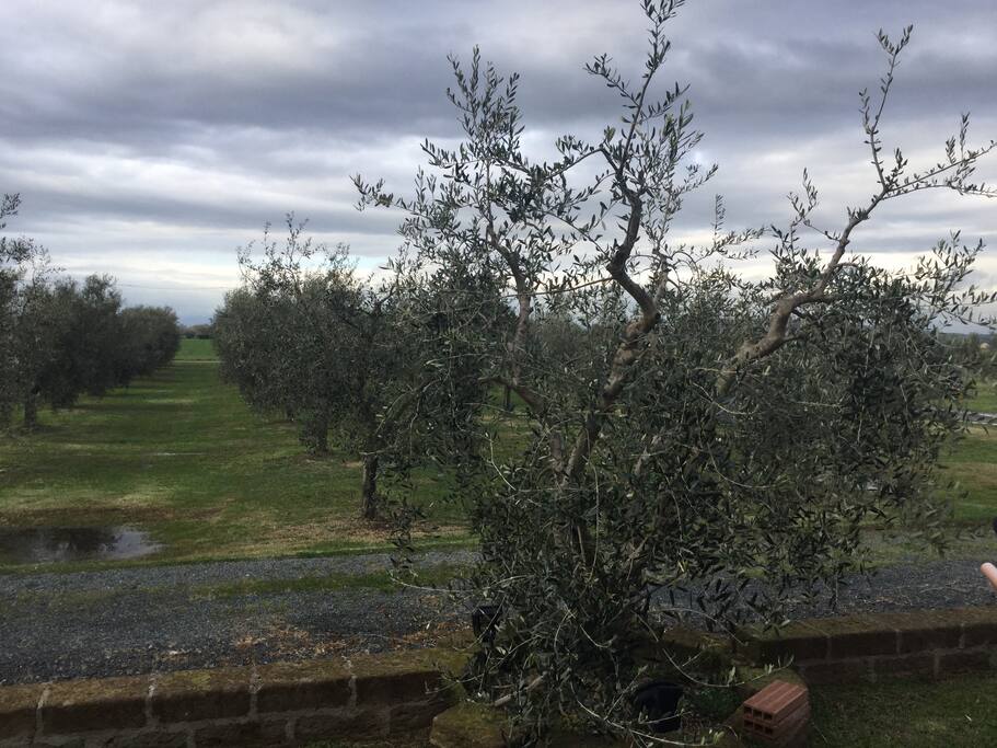 Veduta dal porticato